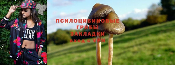 твердый Алексин