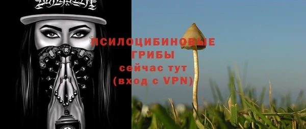 соль курить ск Алексеевка