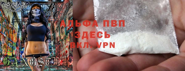 шишки Алзамай