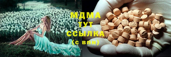 шишки Алзамай