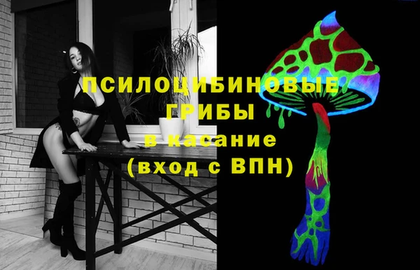 твердый Алексин